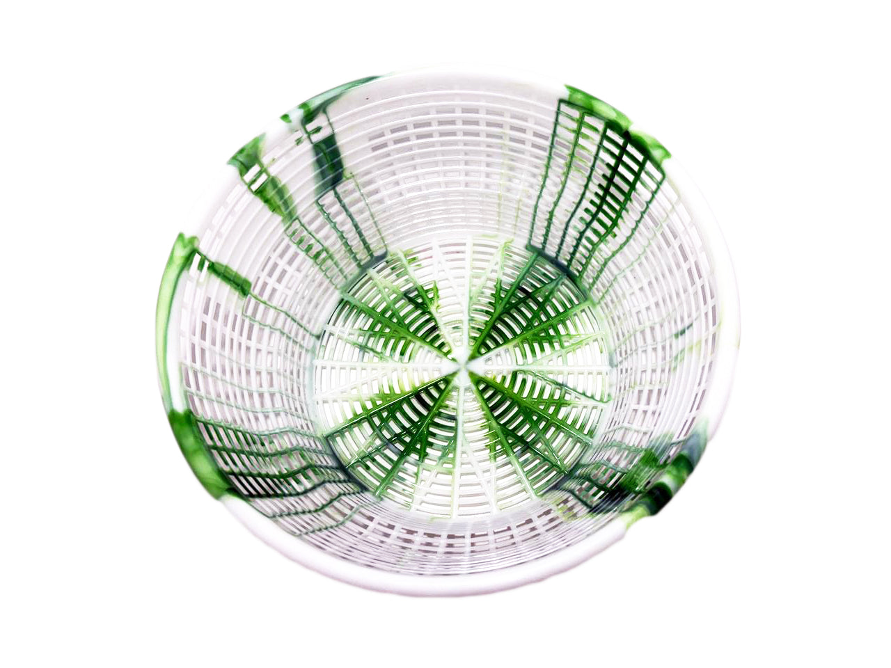 Natural Basket (DC)
